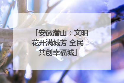 安徽潜山：文明花开满城芳 全民共创幸福城