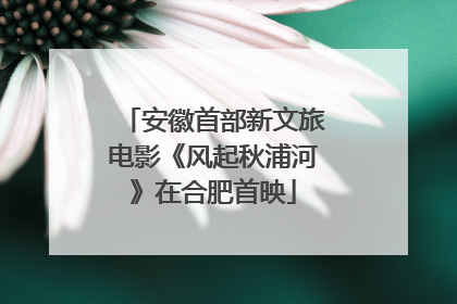 安徽首部新文旅电影《风起秋浦河》在合肥首映