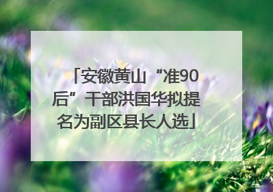 安徽黄山“准90后”干部洪国华拟提名为副区县长人选