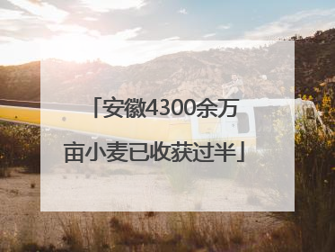 安徽4300余万亩小麦已收获过半