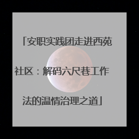 安职实践团走进西苑社区：解码六尺巷工作法的温情治理之道