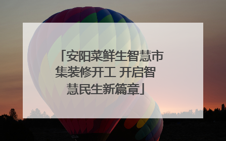 安阳菜鲜生智慧市集装修开工 开启智慧民生新篇章