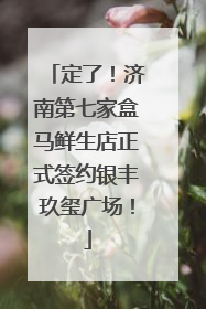 定了！济南第七家盒马鲜生店正式签约银丰玖玺广场！