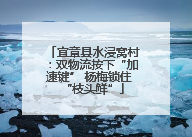 宜章县水浸窝村：双物流按下“加速键” 杨梅锁住“枝头鲜”