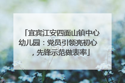 宜宾江安四面山镇中心幼儿园：党员引领亮初心，先锋示范做表率