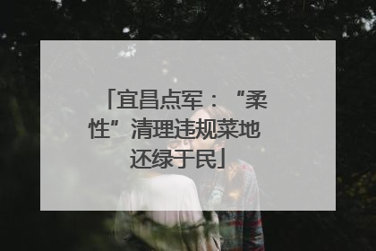 宜昌点军：“柔性”清理违规菜地 还绿于民