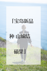 宝岛新品种 山城结硕果