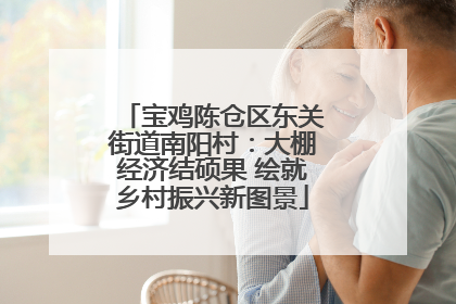 宝鸡陈仓区东关街道南阳村：大棚经济结硕果 绘就乡村振兴新图景
