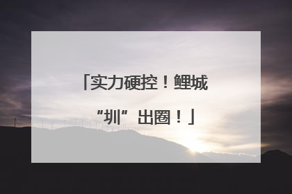 实力硬控！鲤城“圳”出圈！