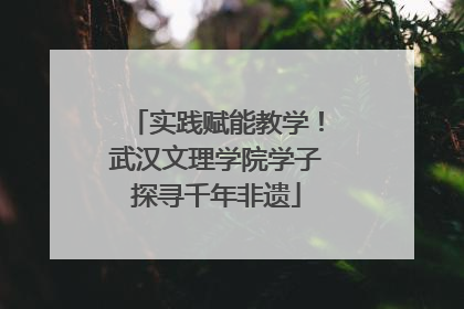 实践赋能教学！武汉文理学院学子探寻千年非遗