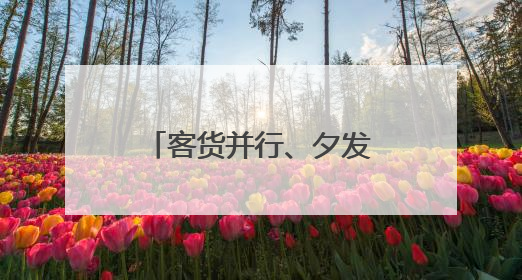 客货并行、夕发朝至 “广西防城港—海南海口”客滚航线首航
