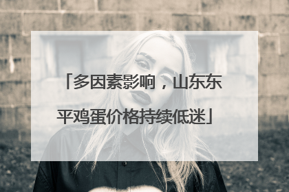 多因素影响，山东东平鸡蛋价格持续低迷