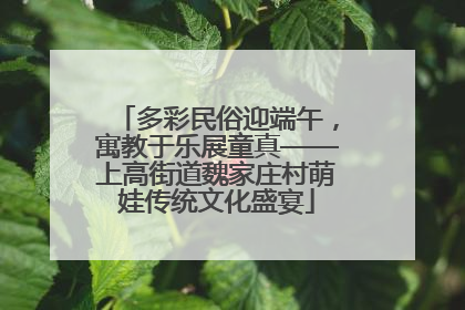 多彩民俗迎端午，寓教于乐展童真——上高街道魏家庄村萌娃传统文化盛宴
