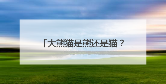 大熊猫是熊还是猫？（把自然讲给你听）