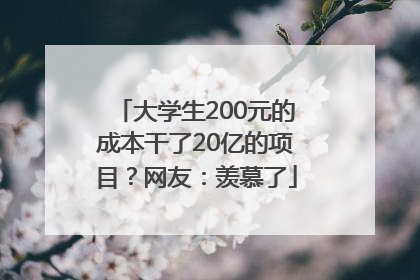 大学生200元的成本干了20亿的项目？网友：羡慕了