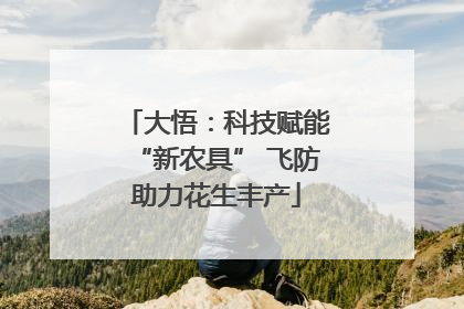 大悟：科技赋能“新农具” 飞防助力花生丰产