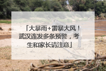 大暴雨+雷暴大风！武汉连发多条预警，考生和家长请注意