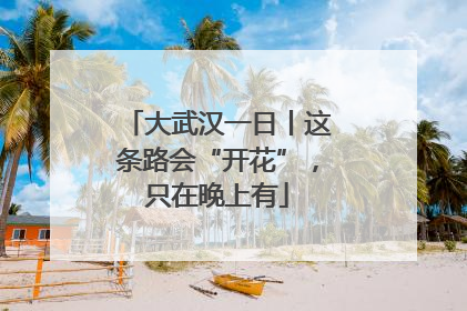 大武汉一日丨这条路会“开花”，只在晚上有