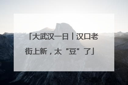大武汉一日︱汉口老街上新，太“豆”了
