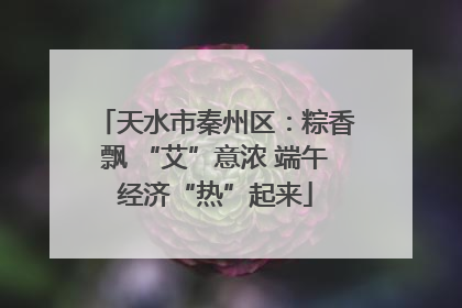 天水市秦州区：粽香飘 “艾”意浓 端午经济“热”起来