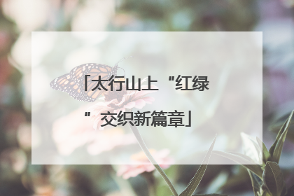 太行山上“红绿”交织新篇章