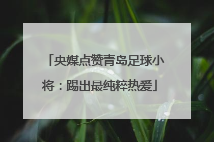 央媒点赞青岛足球小将：踢出最纯粹热爱
