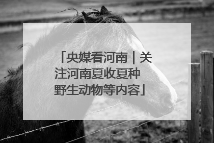 央媒看河南｜关注河南夏收夏种 野生动物等内容