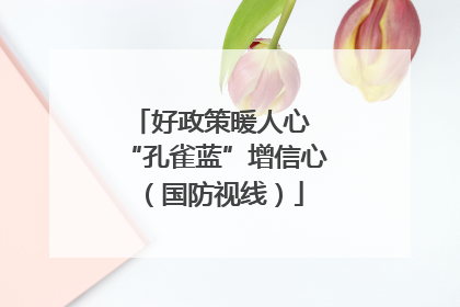 好政策暖人心 “孔雀蓝”增信心（国防视线）