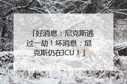 好消息：尼克斯逃过一劫！坏消息：尼克斯仍在ICU！