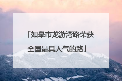 如皋市龙游湾路荣获全国最具人气的路