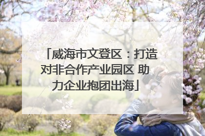 威海市文登区：打造对非合作产业园区 助力企业抱团出海