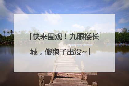 快来围观！九眼楼长城，傻狍子出没~
