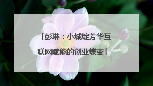 彭琳：小城绽芳华互联网赋能的创业蝶变