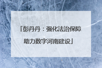 彭丹丹：强化法治保障 助力数字河南建设