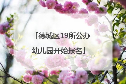 德城区19所公办幼儿园开始报名