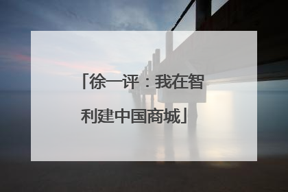 徐一评：我在智利建中国商城