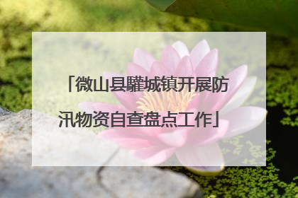 微山县驩城镇开展防汛物资自查盘点工作