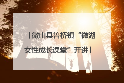 微山县鲁桥镇“微湖女性成长课堂”开讲