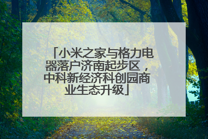 小米之家与格力电器落户济南起步区，中科新经济科创园商业生态升级