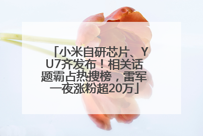 小米自研芯片、YU7齐发布！相关话题霸占热搜榜，雷军一夜涨粉超20万