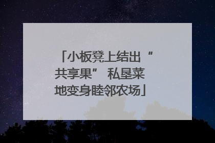 小板凳上结出“共享果” 私垦菜地变身睦邻农场