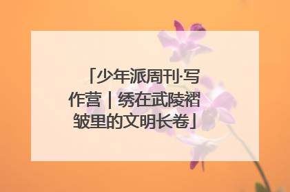 少年派周刊·写作营｜绣在武陵褶皱里的文明长卷
