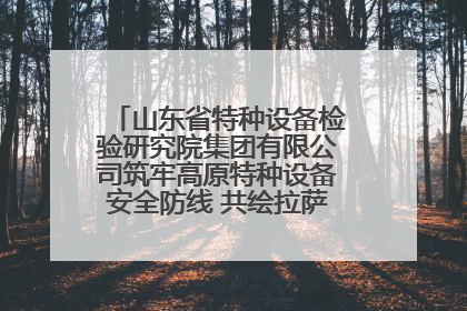 山东省特种设备检验研究院集团有限公司筑牢高原特种设备安全防线 共绘拉萨美好生活画卷
