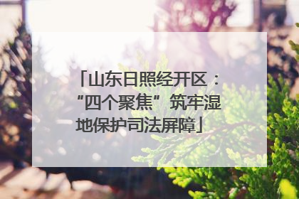 山东日照经开区：“四个聚焦”筑牢湿地保护司法屏障