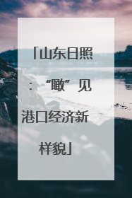 山东日照：“瞰”见港口经济新样貌