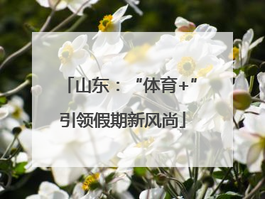 山东：“体育+”引领假期新风尚