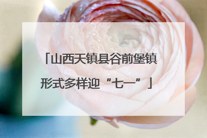 山西天镇县谷前堡镇 形式多样迎“七一”