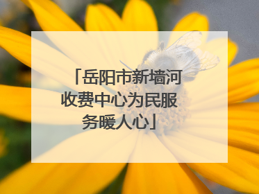 岳阳市新墙河收费中心为民服务暖人心