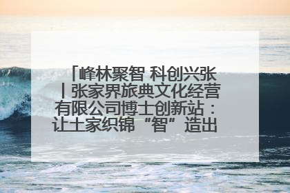 峰林聚智 科创兴张丨张家界旅典文化经营有限公司博士创新站：让土家织锦“智”造出非遗新传奇