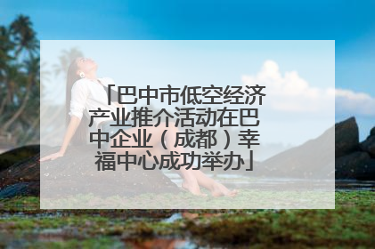巴中市低空经济产业推介活动在巴中企业（成都）幸福中心成功举办